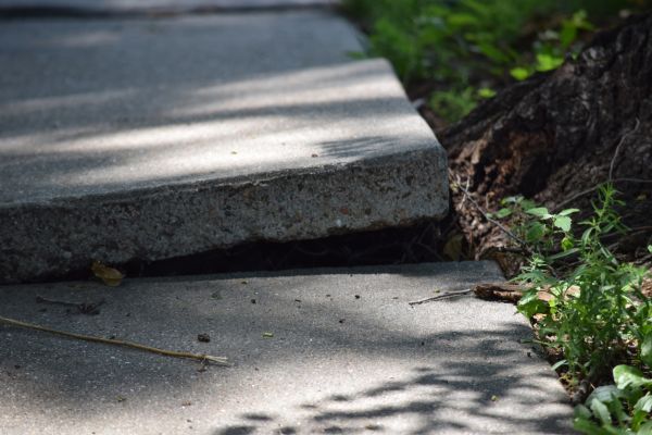 Cost of Sidewalk Leveling in Fayetteville